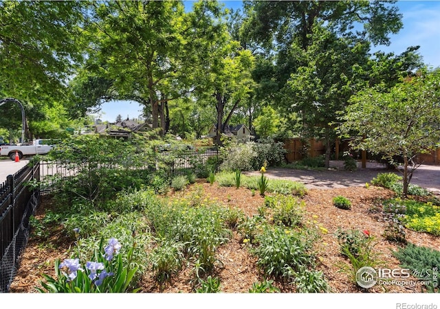 729 Peterson St, Fort Collins, CO 80524 - view of yard