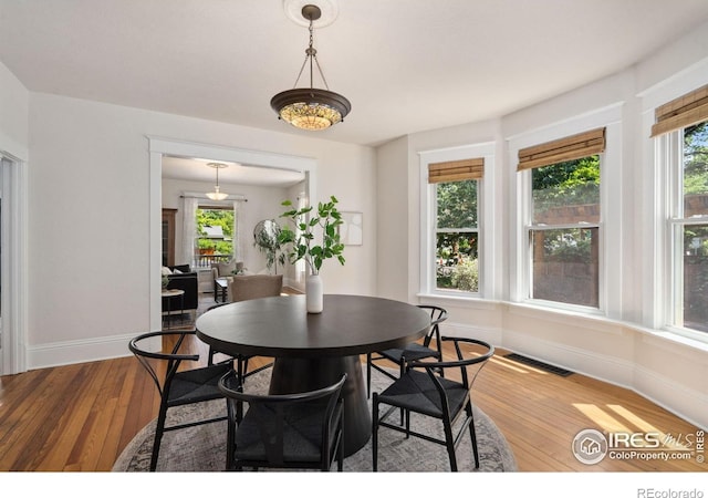 729 Peterson St, Fort Collins, CO 80524 - dining space with baseboards, wood-type flooring, and plenty of natural light