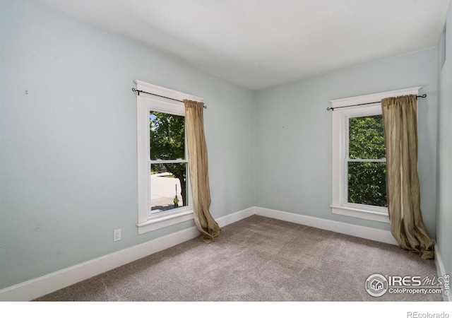 729 Peterson St, Fort Collins, CO 80524 - unfurnished room featuring plenty of natural light, carpet floors, and baseboards