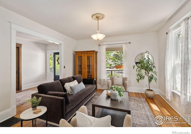 729 Peterson St, Fort Collins, CO 80524 - living area featuring plenty of natural light, wood finished floors, and baseboards