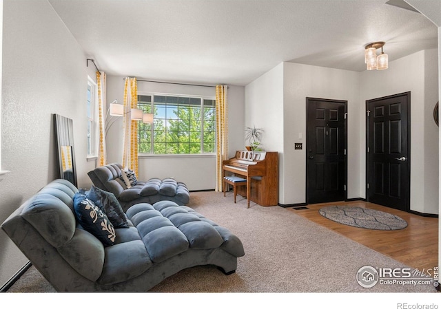 1682 Crestview Ln, Erie, CO 80516 - living room featuring wood finished floors