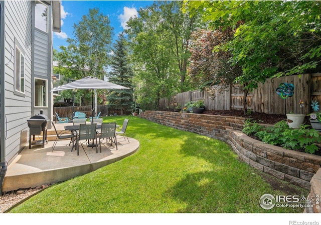 1682 Crestview Ln, Erie, CO 80516 - view of yard with a patio