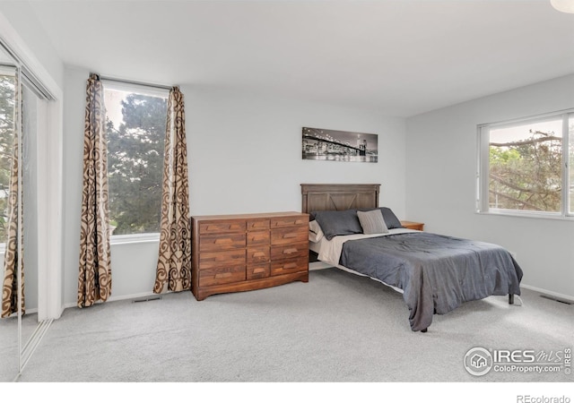 1901 W 101st Ave, Thornton, CO 80260 - bedroom featuring carpet floors, multiple windows, and baseboards