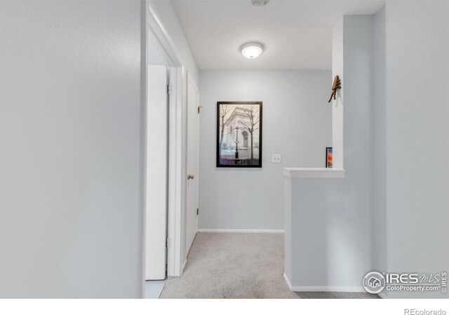 1901 W 101st Ave, Thornton, CO 80260 - hall featuring carpet flooring and baseboards