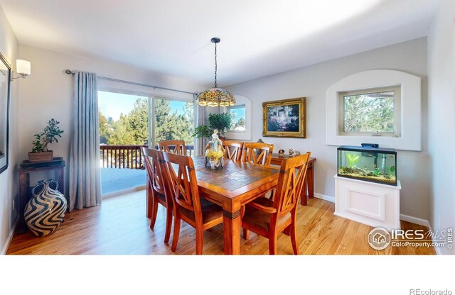 6260 Rain Dance Trl, Littleton, CO 80125 - photo 12