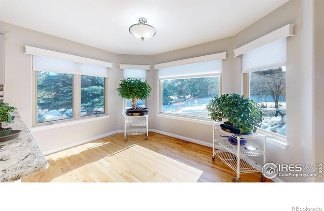6260 Rain Dance Trl, Littleton, CO 80125 - photo 16