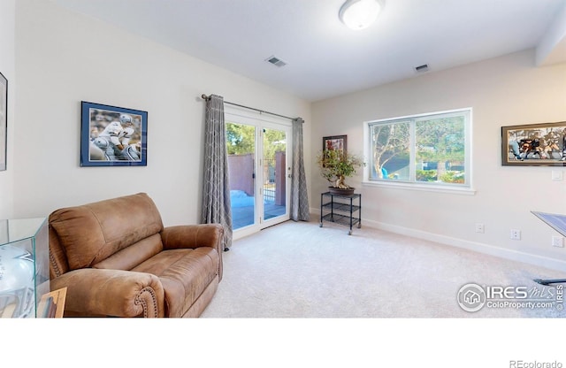 6260 Rain Dance Trl, Littleton, CO 80125 - photo 19