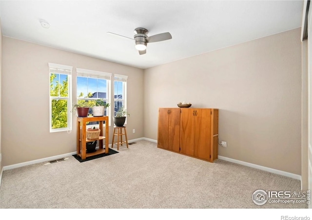 1540 Reynolds Dr, Windsor, CO 80550 - photo 28