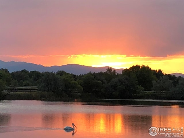 116 Cobble Ct, Windsor, CO 80550 - water view featuring a heavily wooded area and mountains