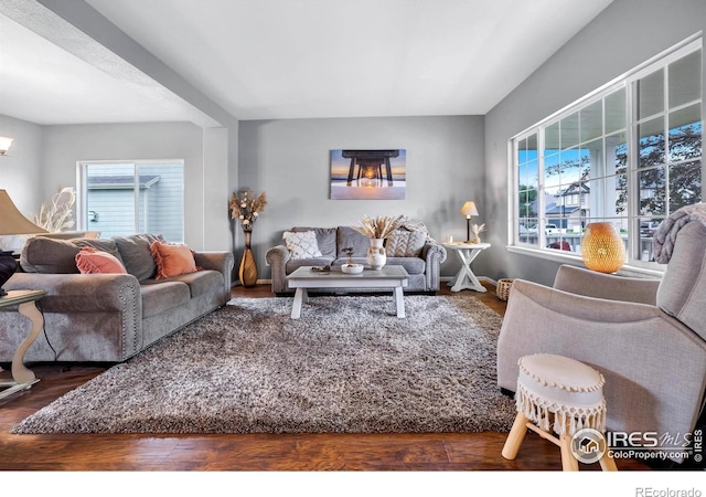 116 Cobble Ct, Windsor, CO 80550 - photo 6