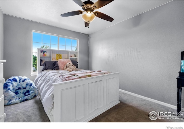 116 Cobble Ct, Windsor, CO 80550 - photo 19