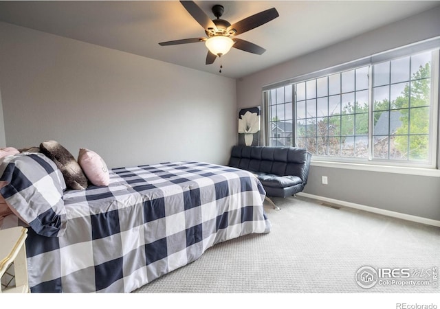 116 Cobble Ct, Windsor, CO 80550 - photo 20
