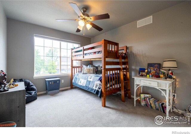 116 Cobble Ct, Windsor, CO 80550 - photo 21