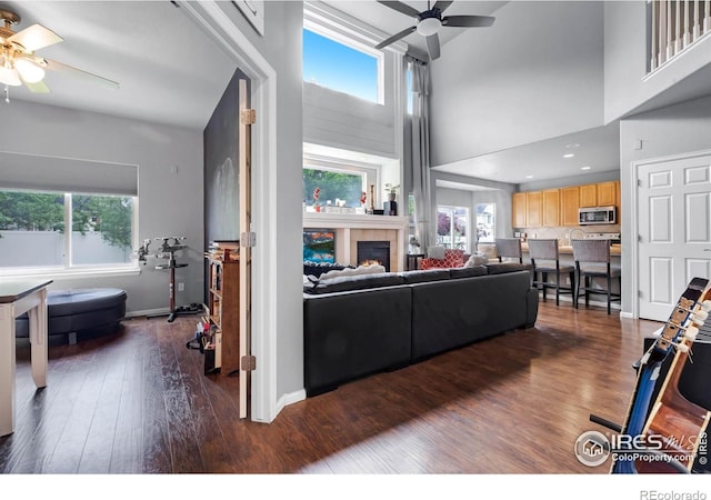 116 Cobble Ct, Windsor, CO 80550 - photo 23