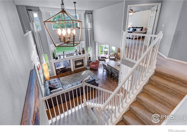 116 Cobble Ct, Windsor, CO 80550 - photo 24
