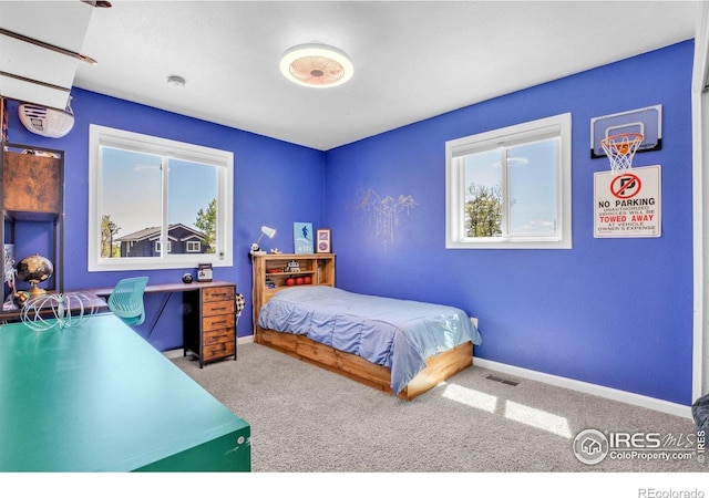 1067 W Alder St, Louisville, CO 80027 - carpeted bedroom with multiple windows