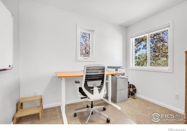 1067 W Alder St, Louisville, CO 80027 - carpeted home office with baseboards