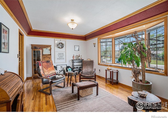 514 Palisade Mountain Dr, Windsor, CO 80550 - living room with plenty of natural light, wood finished floors, crown molding, and baseboards