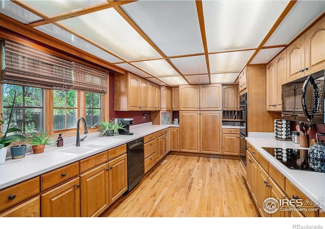 514 Palisade Mountain Dr, Windsor, CO 80550 - kitchen with black appliances, a sink, light wood finished floors, light countertops, and brown cabinetry