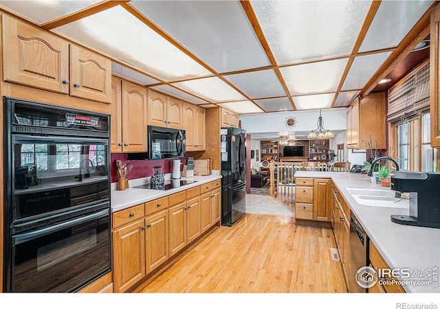 514 Palisade Mountain Dr, Windsor, CO 80550 - kitchen with black appliances, a sink, light countertops, light wood-type flooring, and open floor plan