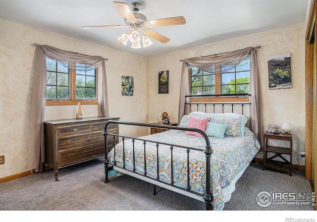 514 Palisade Mountain Dr, Windsor, CO 80550 - carpeted bedroom featuring multiple windows, a textured wall, a ceiling fan, and baseboards