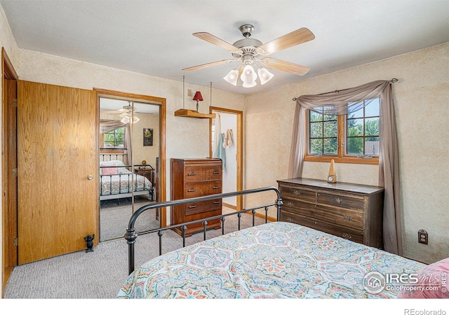514 Palisade Mountain Dr, Windsor, CO 80550 - carpeted bedroom with a closet and a ceiling fan
