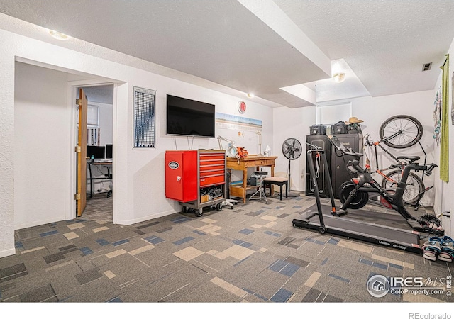 514 Palisade Mountain Dr, Windsor, CO 80550 - exercise area with carpet floors, a textured ceiling, and baseboards