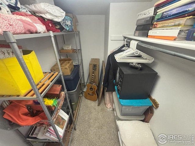 2314 42nd Avenue Ct, Greeley, CO 80634 - view of storage area