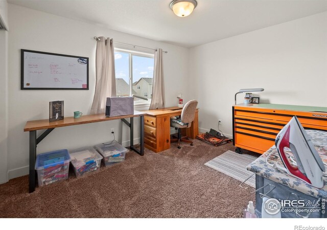 4406 Big Horn Pkwy, Johnstown, CO 80534 - photo 24
