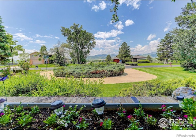 6512 Fossil Crest Dr, Fort Collins, CO 80525 - photo 4