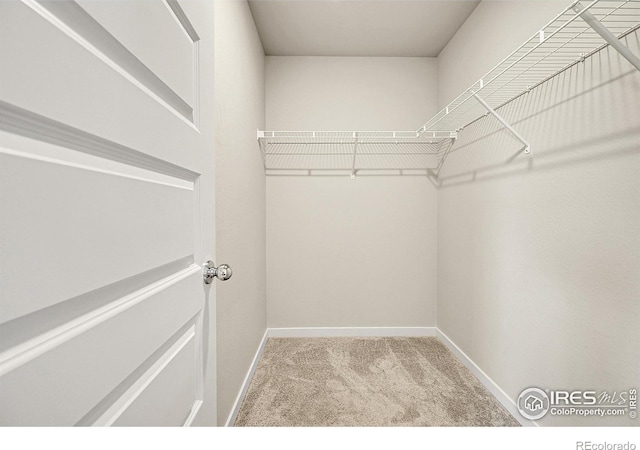 403 Pony Express Trl, Ault, CO 80610 - spacious closet featuring carpet flooring