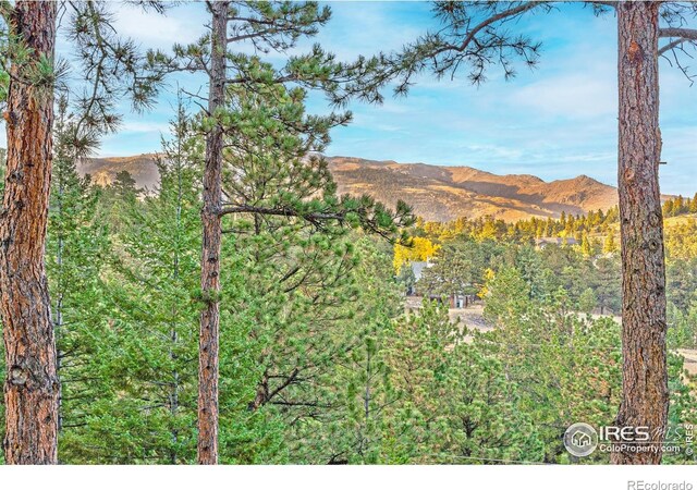 279 Green Meadow Ln, Boulder, CO 80302 - mountain view featuring a heavily wooded area