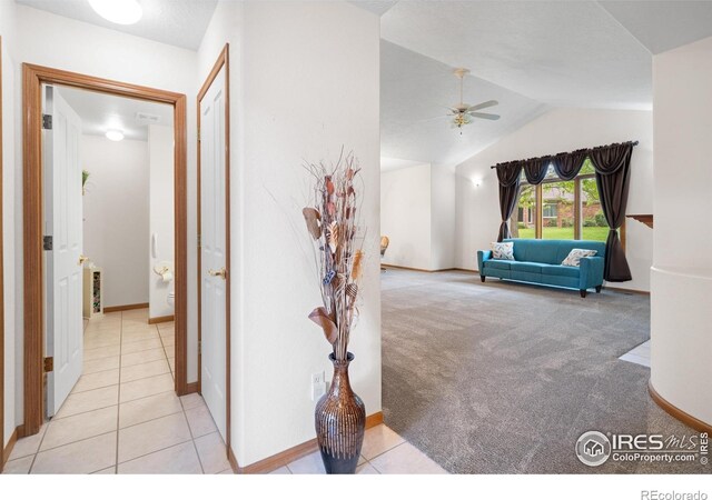 1601 44th Avenue Ct # 5, Greeley, CO 80634 - photo 3