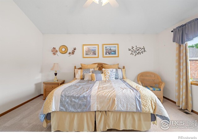 1601 44th Avenue Ct # 5, Greeley, CO 80634 - photo 18