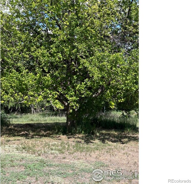 21378 County Road 21, Fort Morgan, CO 80701 - photo 39
