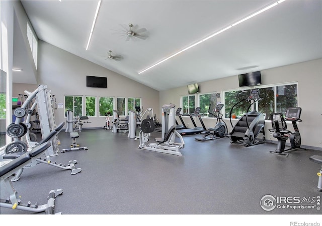 2802 Sundown Ln Unit 210, Boulder, CO 80303 - photo 25