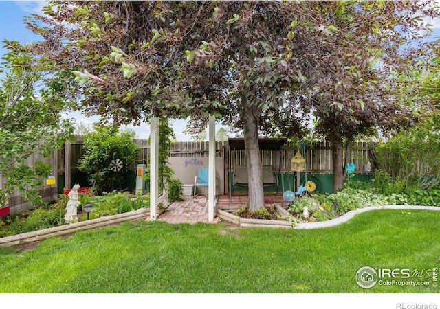 3023 39th Ave, Evans, CO 80620 - view of yard