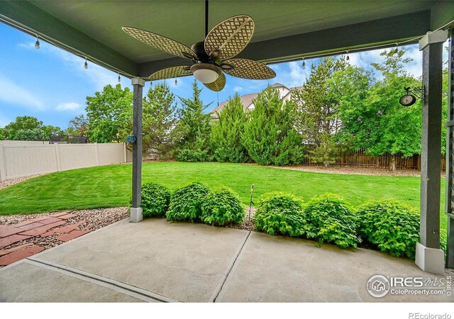1903 81st Ave, Greeley, CO 80634 - photo 33