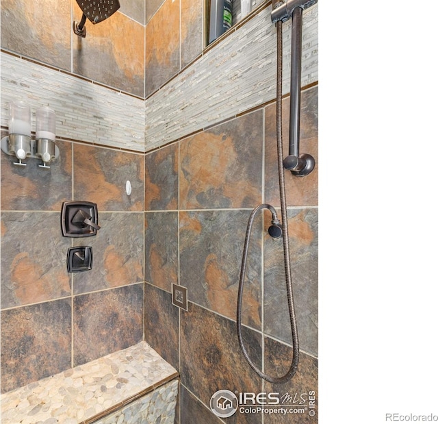 135 Canyon River Rd, Drake, CO 80515 - bathroom view of tiled shower