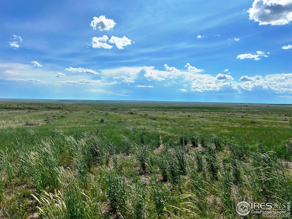 0 County Road 80, Briggsdale, CO 80611