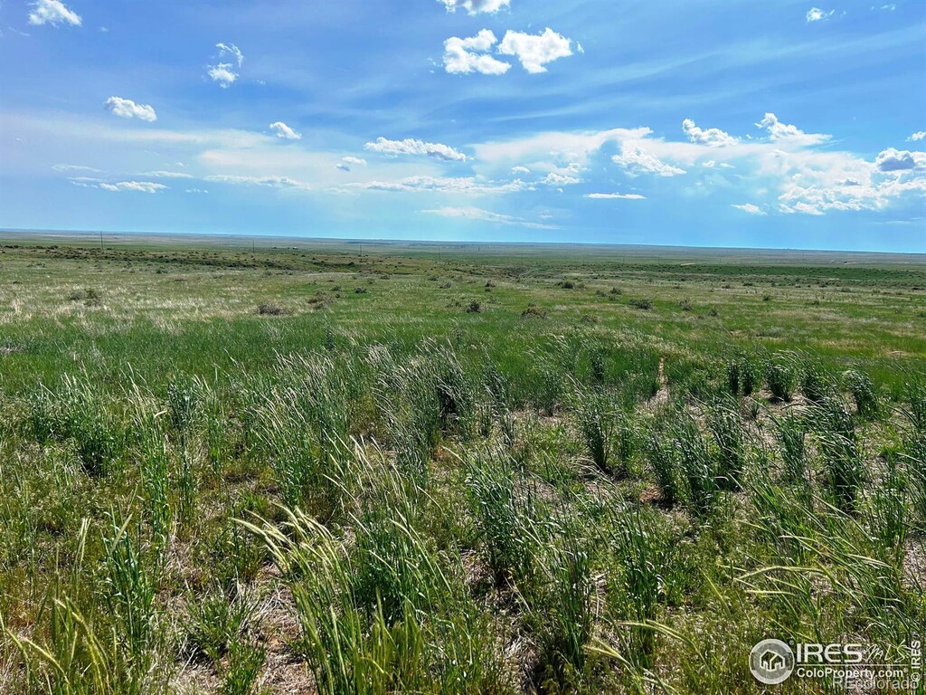 0 County Road 80, Briggsdale, CO 80611