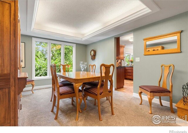 1021 Pinyon Dr, Windsor, CO 80550