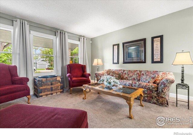 1021 Pinyon Dr, Windsor, CO 80550