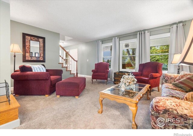 1021 Pinyon Dr, Windsor, CO 80550
