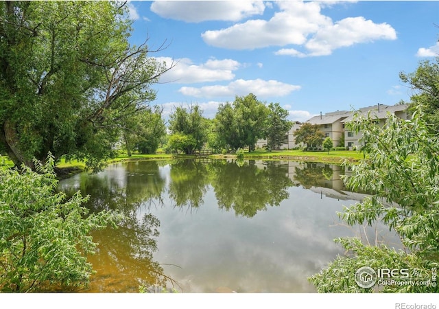 1705 Heatheridge Rd Unit G105, Fort Collins, CO 80526 - water view