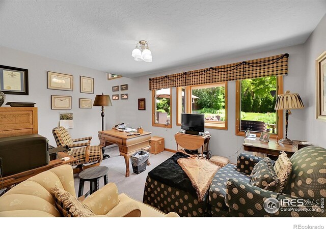 1204 50th Ave, Greeley, CO 80634 - photo 17