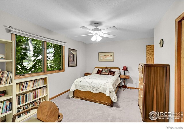 1204 50th Ave, Greeley, CO 80634 - photo 14