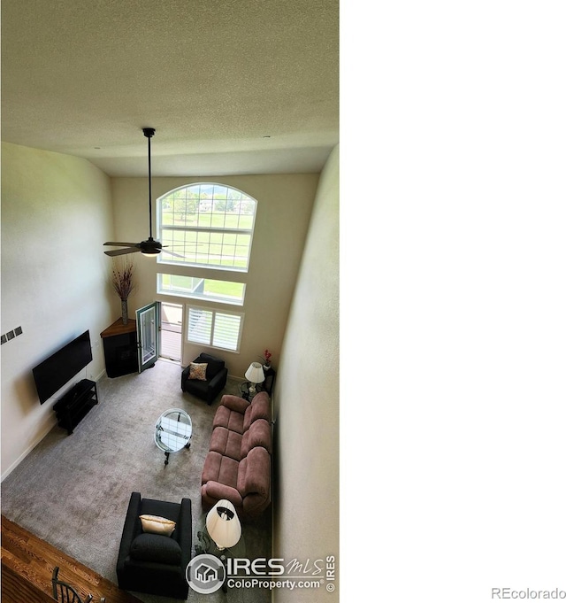 451 Clubhouse Ct, Loveland, CO 80537 - living area featuring carpet, a ceiling fan, and a textured ceiling