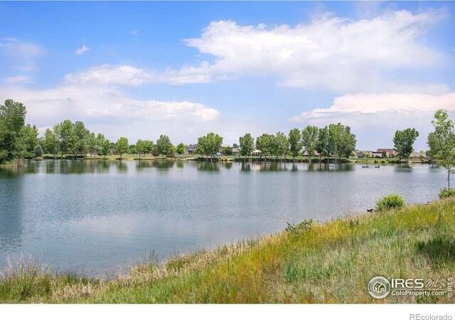 1820 Gordon Dr, Erie, CO 80516 - photo 23