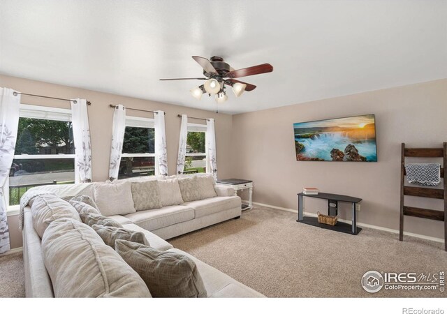131 50th Ave, Greeley, CO 80634